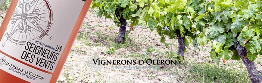 Vin rosé île d'Oléron producteur vins rosés charente maritime vin