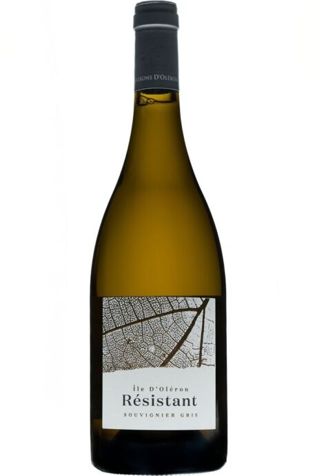 Résistant vin blanc IGP Charentais de l’Île d’Oléron – cépage Souvignier Gris